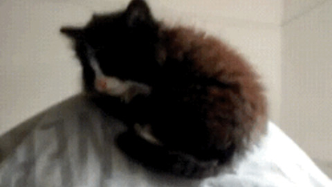 Illusion best Gif