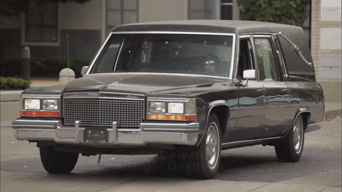 Season 2 Allergy GIF by Portlandia