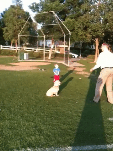 Dog pulls kid

Dog Fail GIF By America's Funniest Home Videos


https://media.giphy.com/media/d47HkxagrXVcVwL6/giphy.gif