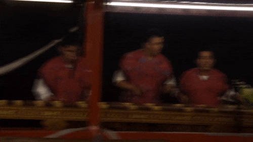 marimba xoximilco