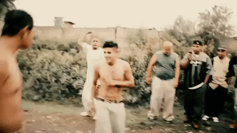 giphy.gif