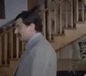 giphy.gif