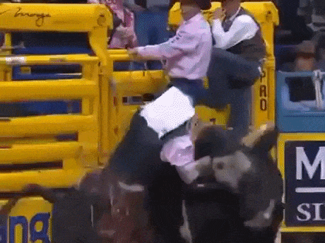 Protecting rider from bull in wow gifs