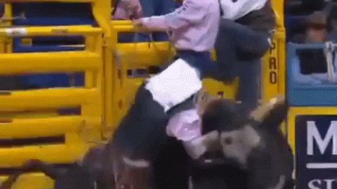 Protecting rider from bull