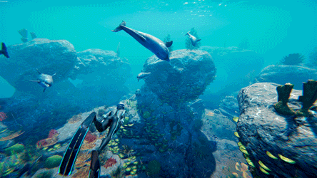 Swimming GIF by Beyond Blue - Find & Share on GIPHY