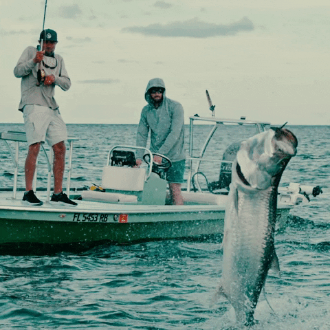 Fishing Thrash GIF by Early Riser Coffee - Find & Share on GIPHY
