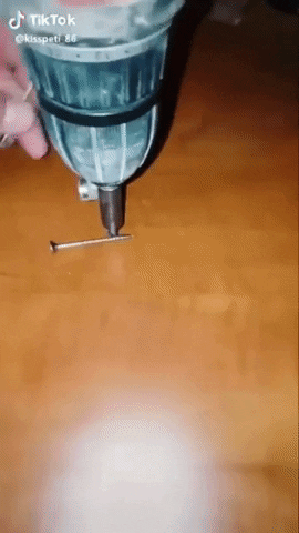 Screwing around in funny gifs