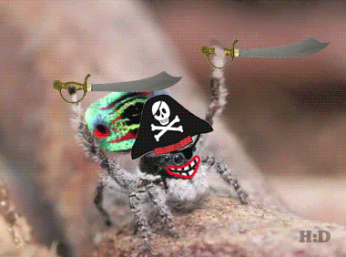 Ok, cure me please: SPIDERS! - Page 6 Giphy