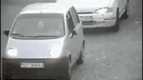 Insurance scam gone wrong gif