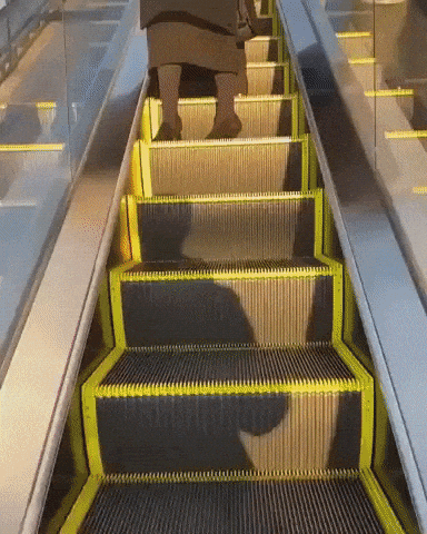 Epid escalator ride in wow gifs