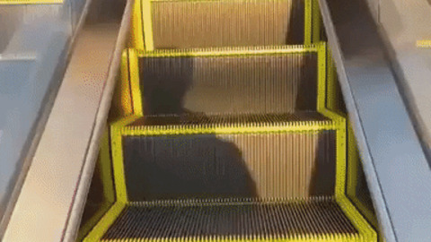 Epid escalator ride