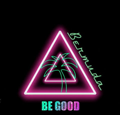 Be Good Palm Tree GIF by Bermuda PEC