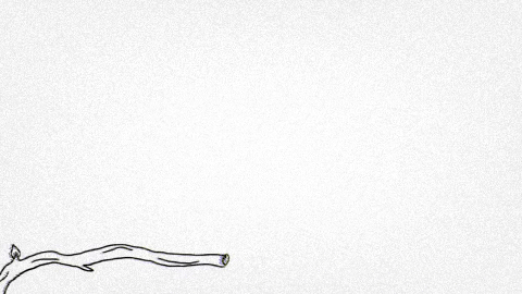 Animals GIF