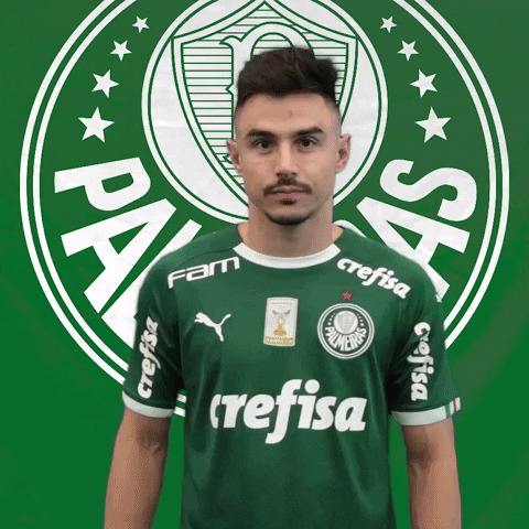 SE Palmeiras GIF