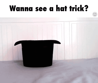 Hat Trick GIFs - Find & Share on GIPHY