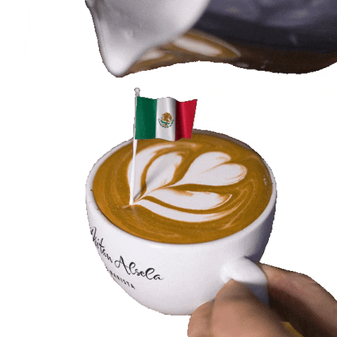 Dritan Alsela Coffee GIF