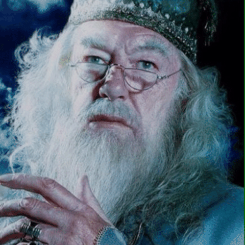 ENTITY shares Dumbledore quotes