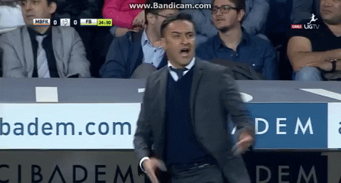 giphy.gif