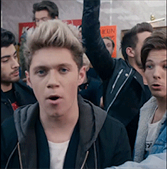 Niall Horan GIF by One Direction