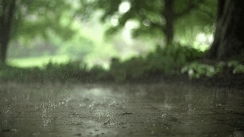 slow motion of raindrops hitting the ground