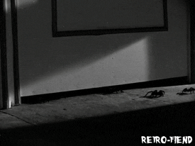 необычные иррациональные фобии, странные фобии