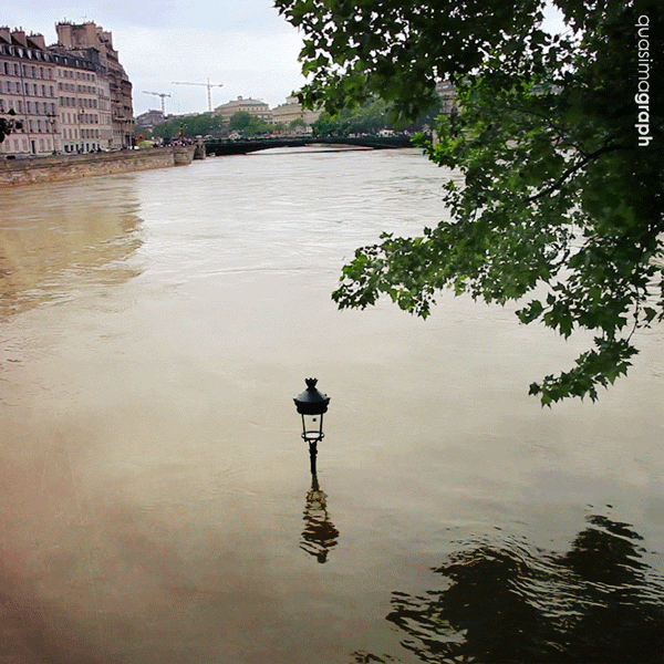 Paris Flood GIF Find & Share on GIPHY