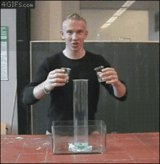giphy capture. the gif maker download giphy capture. the gif maker download