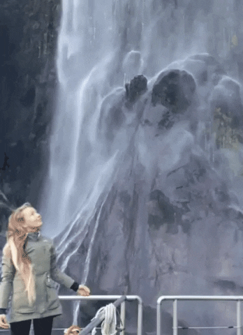 Real Journeys GIF