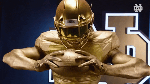 Notre Dame Gold GIF by Notre Dame Fighting Irish - Find & Share on GIPHY