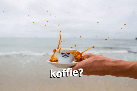 De Zeeuwse Branding GIF