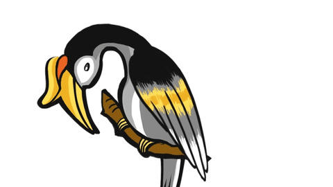 Burung Cenderawasih Gifs Get The Best Gif On Giphy