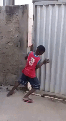 Surprise in funny gifs