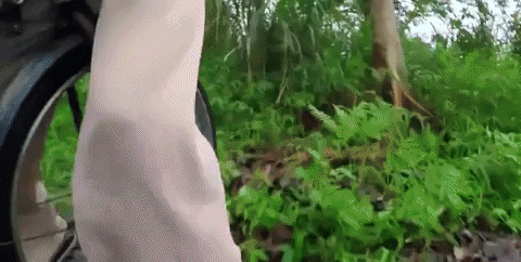 Tvb GIF