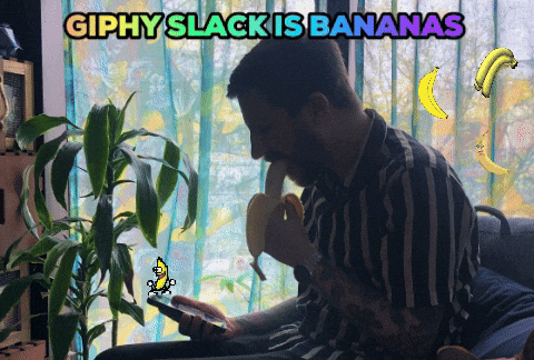 giphy slack giphy slack