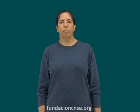 Fundación CNSE GIF