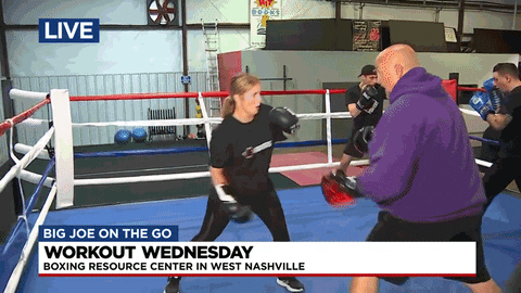 WSMV News 4, Nashville GIF