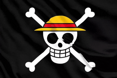One Piece Bayrağı (Gen Z Protestoları)