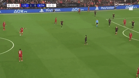giphy.gif