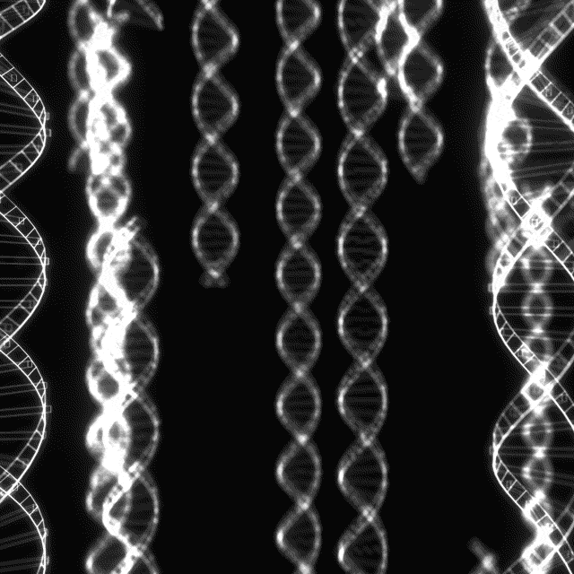 Black And White Loop GIF by xponentialdesign Find & Share on GIPHY