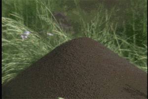 Archaeology Cmhgif GIF by Canadian Museum of History