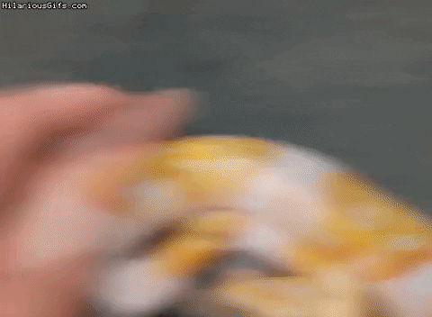 Emoji ball python in wow gifs