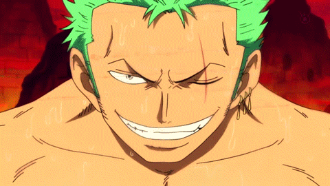 Sweat One Piece Zoro