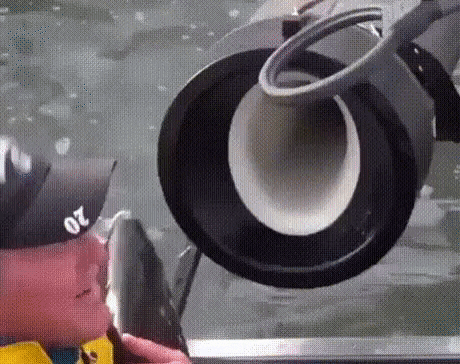 Load the fish cannon in funny gifs