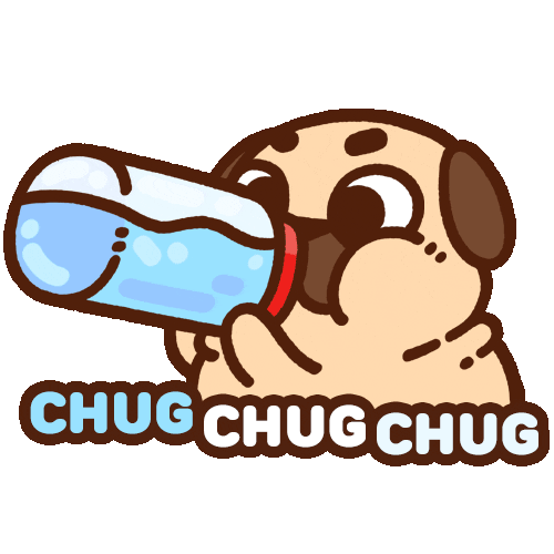 chugging pug gif