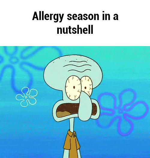 Blowing GIFs Find & Share on GIPHY