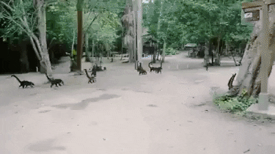 Dinosaurs illusion in wow gifs