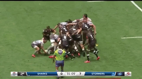 Stormers GIF - Find & Share on GIPHY