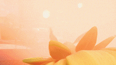Official PvZ GIF