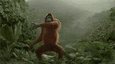 Dancing Monkey Animated GIF