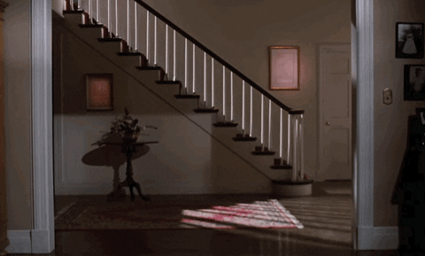 giphy.gif